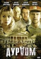 Постер Дурдом (2024)