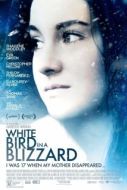 Постер Белая птица в метели (2014)