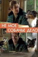 Постер Не моё собачье дело (2020)