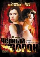 Постер Чёрный ворон (2019)