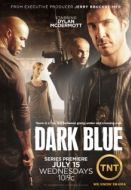 Постер Под прикрытием (2009)