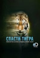 Постер Спасти тигра (2019)