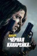 Постер Досье «Чёрная канарейка» (2024)