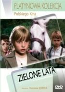 Постер Зеленые годы (1979)
