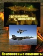 Постер Неизвестные самолеты (2011)