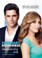 Постер Необходимая жестокость (2011)