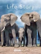 Постер История жизни (2014)