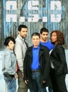 Постер Расследует таможня (2009)