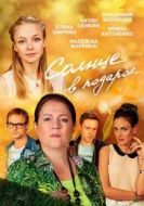 Постер Солнце в подарок (2016)