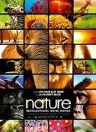 Постер Заколдованное королевство 3D (2014)