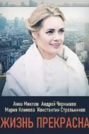Постер Жизнь прекрасна (2020)