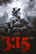 Постер 3:15 ночи (2018)