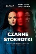 Постер Чёрные маргаритки (2025)