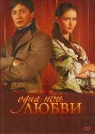 Постер Одна ночь любви (2008)