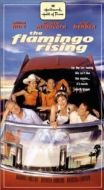 Постер Восход Фламинго (2001)