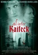 Постер Убийство в Кайфеке (2009)