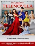 Постер Теленовелла (2015)