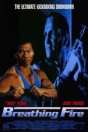 Постер Огнедышащий (1991)