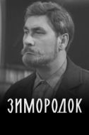 Постер Зимородок (1972)