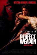 Постер Совершенное оружие (1991)