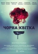 Постер Черный цветок (2016)