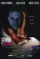 Постер Роковая женщина (1991)