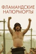 Постер Фламандские натюрморты (2009)