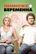 Постер Немножко беременна (2007)