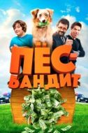 Постер Пёс Бандит (2016)