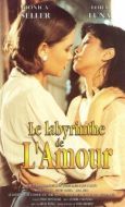 Постер Лабиринт любви (1994)