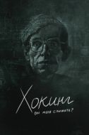 Постер Хокинг: вы меня слышите? (2021)