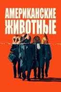 Постер Американские животные (2018)