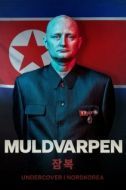 Постер Крот: Под прикрытием в Северной Корее (2020)
