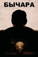 Постер Бычара (2011)