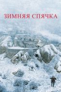Постер Зимняя спячка (2014)