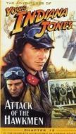 Постер Приключения молодого Индианы Джонса: Атака ястреба (1995)