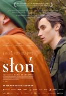 Постер Слон (2022)