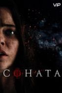 Постер Соната (2021)