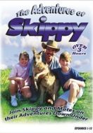 Постер Приключения Скиппи (1992)