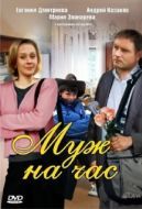 Постер Муж на час (2014)