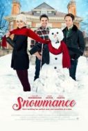 Постер Снежный роман (2017)