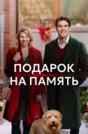 Постер Подарок на память (2017)