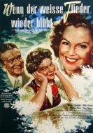 Постер Когда цветет белая сирень (1953)
