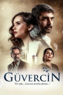 Постер Голубка (2019)