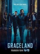 Постер Грейсленд (2013)