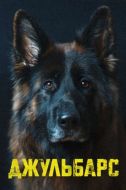 Постер Джульбарс (2017)