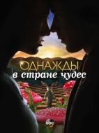 Постер Однажды в стране чудес (2013)