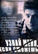 Постер Узнай меня, если сможешь (2014)