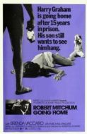 Постер Иди домой (1971)