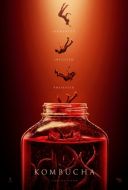 Постер Чайный гриб (2025)